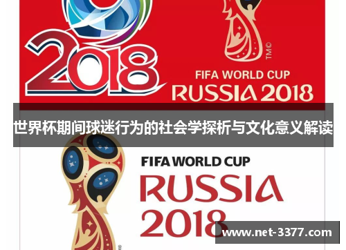 世界杯期间球迷行为的社会学探析与文化意义解读 世界杯期间球迷行为的社会学探析与文化意义解读