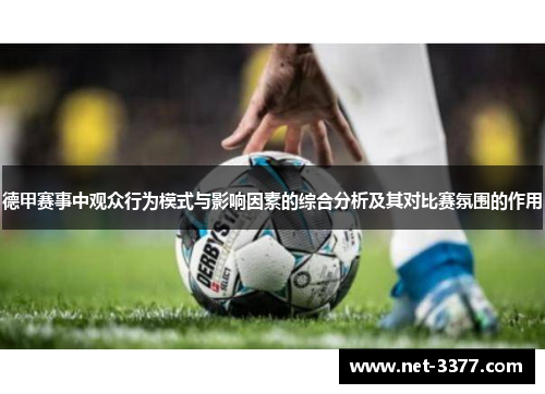 德甲赛事中观众行为模式与影响因素的综合分析及其对比赛氛围的作用