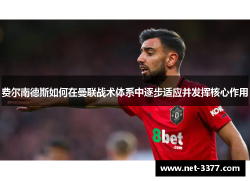 费尔南德斯如何在曼联战术体系中逐步适应并发挥核心作用 费尔南德斯如何在曼联战术体系中逐步适应并发挥核心作用