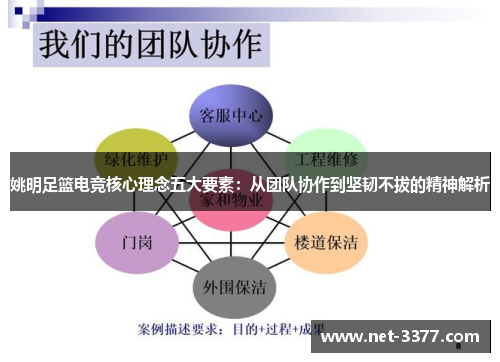 姚明足篮电竞核心理念五大要素:从团队协作到坚韧不拔的精神解析 姚明足篮电竞核心理念五大要素:从团队协作到坚韧不拔的精神解析