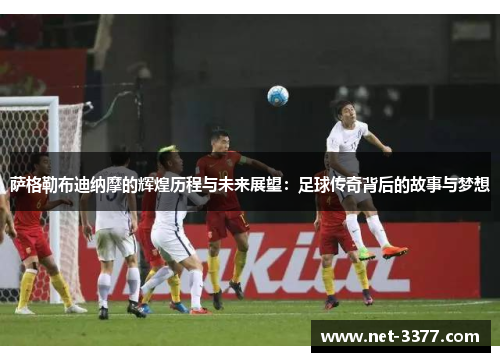 萨格勒布迪纳摩的辉煌历程与未来展望：足球传奇背后的故事与梦想