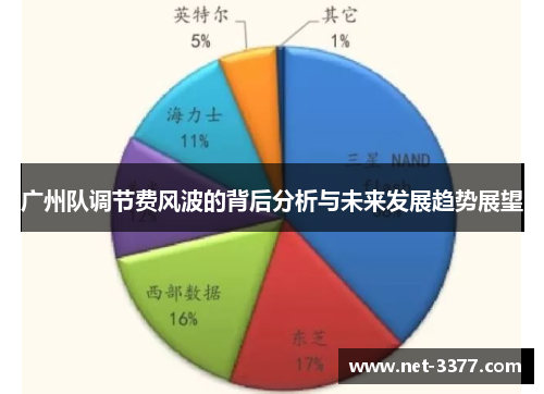 广州队调节费风波的背后分析与未来发展趋势展望