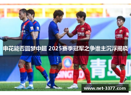 申花能否圆梦中超 2025赛季冠军之争谁主沉浮揭晓