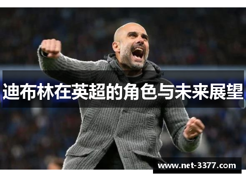 迪布林在英超的角色与未来展望