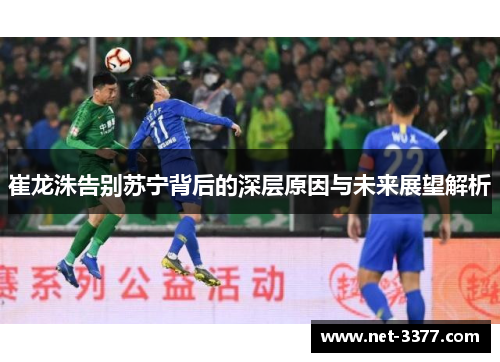 崔龙洙告别苏宁背后的深层原因与未来展望解析