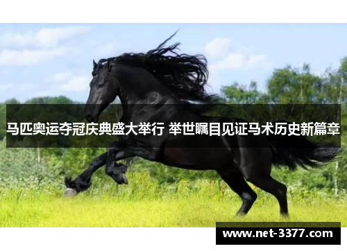 马匹奥运夺冠庆典盛大举行 举世瞩目见证马术历史新篇章