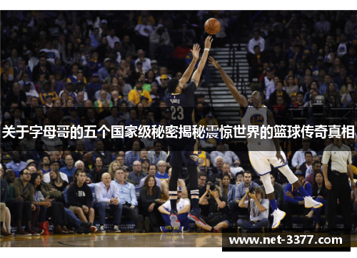 关于字母哥的五个国家级秘密揭秘震惊世界的篮球传奇真相 关于字母哥的五个国家级秘密揭秘震惊世界的篮球传奇真相