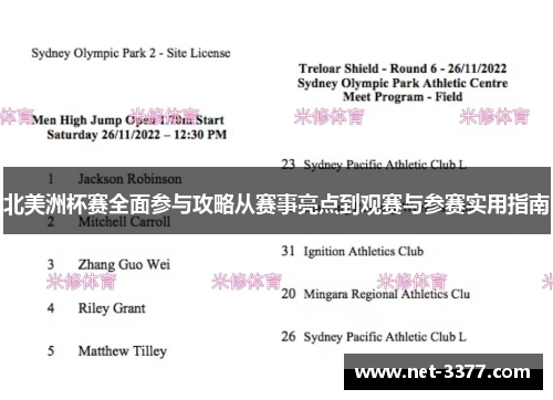 北美洲杯赛全面参与攻略从赛事亮点到观赛与参赛实用指南