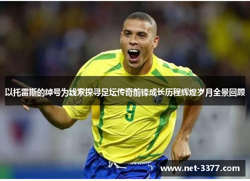 以托雷斯的绰号为线索探寻足坛传奇前锋成长历程辉煌岁月全景回顾 以托雷斯的绰号为线索探寻足坛传奇前锋成长历程辉煌岁月全景回顾