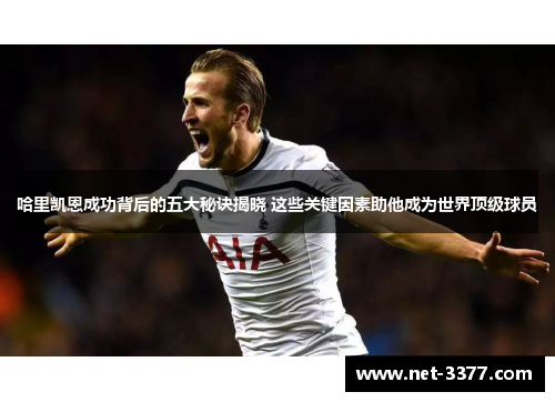 哈里凯恩成功背后的五大秘诀揭晓 这些关键因素助他成为世界顶级球员 哈里凯恩成功背后的五大秘诀揭晓 这些关键因素助他成为世界顶级球员