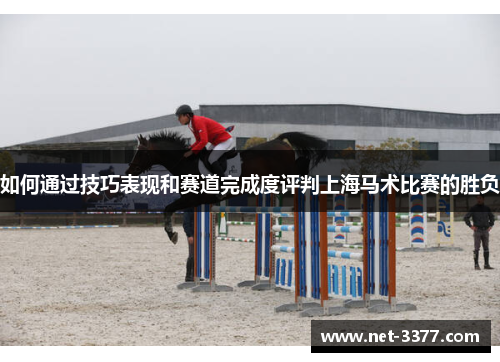 如何通过技巧表现和赛道完成度评判上海马术比赛的胜负 如何通过技巧表现和赛道完成度评判上海马术比赛的胜负