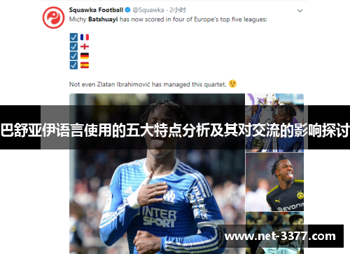 巴舒亚伊语言使用的五大特点分析及其对交流的影响探讨 巴舒亚伊语言使用的五大特点分析及其对交流的影响探讨